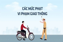 Những lỗi vi phạm giao thông thường gặp và mức phạt mới áp dụng từ hôm nay (1/1)