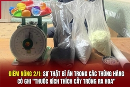 Điểm nóng 2/1: Sự thật bí ẩn trong các thùng hàng ghi “thuốc kích thích cây trồng ra hoa”