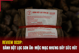 [REVIEW OCOP] -  Bánh bột lọc Sơn Ân: Mộc mạc nhưng đầy sức hút