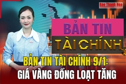 Bản tin Tài chính 9/1: Giá vàng đồng loạt tăng