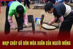 Nhịp chày gõ đón mùa xuân của người Mông