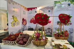 Việt Nam tham gia Fruit Logistica 2025 tại Đức với quy mô lớn nhất