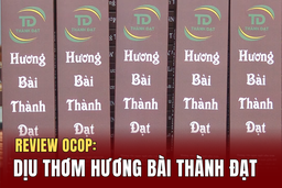 [REVIEW OCOP]  Dịu thơm hương bài Thành Đạt