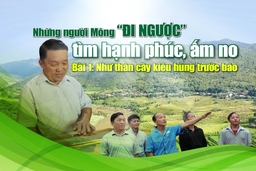 [E-Magazine] – Những người Mông “đi ngược” tìm hạnh phúc, ấm no