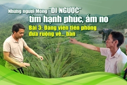 [E-Magazine] - Những người Mông “đi ngược” tìm hạnh phúc, ấm no - Bài 3: Đảng viên tiên phong đưa ruộng về... bản