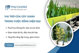 Mang thiên nhiên vào không gian sống với dịch vụ thuê cây xanh Bình Dương