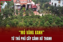 “Mỏ vàng xanh” từ thủ phủ cây cảnh xứ Thanh