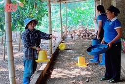 Hỗ trợ nâng cao năng lực, vị thế cho phụ nữ