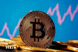 Giá Bitcoin giảm sau kế hoạch lập quỹ dự trữ tiền kỹ thuật số của Mỹ