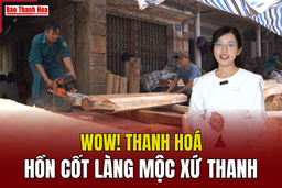 [WOW! THANH HOÁ] Hồn cốt làng mộc xứ Thanh