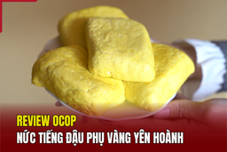 [REVIEW OCOP] - Nức tiếng đậu phụ vàng Yên Hoành