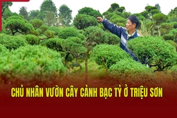 Chủ nhân vườn cây cảnh bạc tỷ ở Triệu Sơn