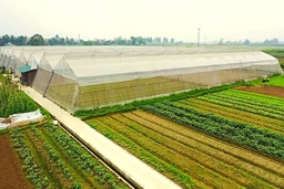 Phân bổ  22.697 triệu đồng  thực hiện Chương trình mục tiêu quốc gia xây dựng nông thôn mới trên địa bàn tỉnh Thanh Hóa đợt 3