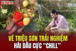 [WOW m88 cá cược thể thao trực tuyến Hoá!] Về Triệu Sơn trải nghiệm hái dâu cực “chill”