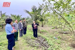Giáo dân thị xã Nghi Sơnsống “tốt đời, đẹp đạo”