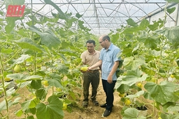 Xây m88 cá cược thể thao trực tuyếnng mô hình kinh tế HTX hiệu quả