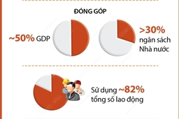 Những bước phát triển vượt bậc m88 cá cược thể thao trực tuyến kinh tế tư nhân sau gần 40 năm đổi mới