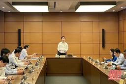 Đoàn ĐBQH m88 the thao Hoá tham gia góp ý vào các dự án luật