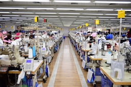Công ty TNHH Sakurai Việt Nam: Hành trình vững bước vươn xa, nâng tầm giá trị Việt