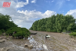 Nghề lú bãi bồi