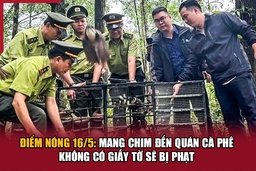Điểm nóng 16/5: Mang chim đến quán cà phê không có giấy tờ sẽ bị phạt