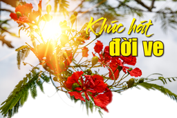 [E - Magazine] - Khúc hát đời ve