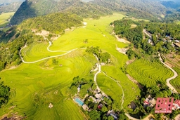 Pù Luông: Mùa vàng đang gọi