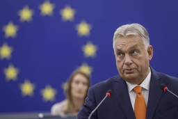 Hội đồng EU thảo luận về khả năng tước quyền bỏ phiếu của Hungary