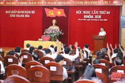 Ban Chấp hành Đảng bộ tỉnh thông qua Đề án tổ chức bộ máy chính quyền địa phương, đơn vị sự nghiệp; phương hướng bố trí đội ngũ cán bộ, công chức, viên chức và người lao động