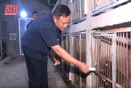 Xã khó tìm cách nâng cao tiêu chí thu nhập