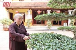 Ni trưởng Thích Đàm Hòa - gương sáng tốt đời, đẹp đạo