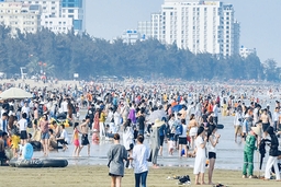 Biển hát...