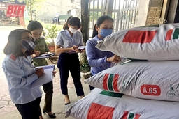 Kiểm soát tốt thị trường vật tư nông nghiệp