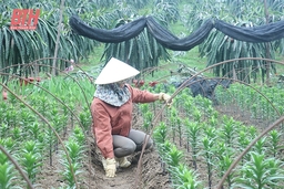 m88 trang chủ các mô hình sản xuất hiệu quả bền vững