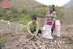Xây dựng chuỗi cung ứng sản phẩm nông nghiệp