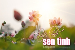 [E-Magazine] - Lấp lánh sen tình