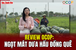 [REVIEW OCOP] Ngọt mát dưa hấu Đồng Quê