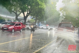 Chủ động ứng phó với mưa lớn và lũ tại các sông trên địa bàn tỉnh Thanh Hóa