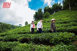 “Chắp cánh” cho kinh tế tư nhân, kinh tế hộ phát triển