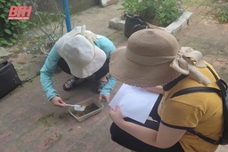 Chủ động phòng, chống dịch sốt xuất huyết