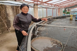 “Chắp cánh” cho những ý tưởng, dự án khởi nghiệp do phụ nữ làm chủ