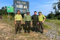 Tăng cường bảo vệ rừng giáp ranh Như Xuân - Nghệ An