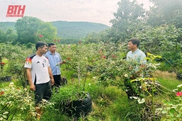 Nông dân Hà Trung giúp nhau phát triển kinh tế