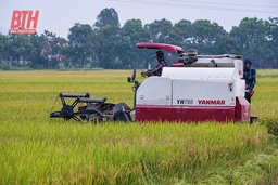“Rào cản” nâng cao tỷ lệ cơ giới nhà cái m88 đồng bộ