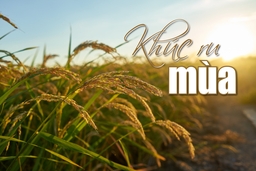 [E-magazin]: Khúc ru mùa