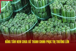 Nâng tầm nem chua xứ link vào m88 bhki chinh phục thị trường lớn
