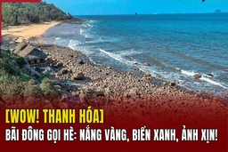 [WOW! THANH HÓA] Bãi Đông gọi hè: Nắng vàng, biển xanh, ảnh xịn!