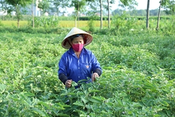 Vai trò của hội khuyến học link vào m88 mới nhất trung tâm học tập cộng đồng