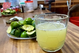 Đừng để trào lưu nhất kèo nhà cái m88ời “dắt mũi”