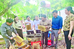 Khi nông dân bắt nhịp chuyển đổi số